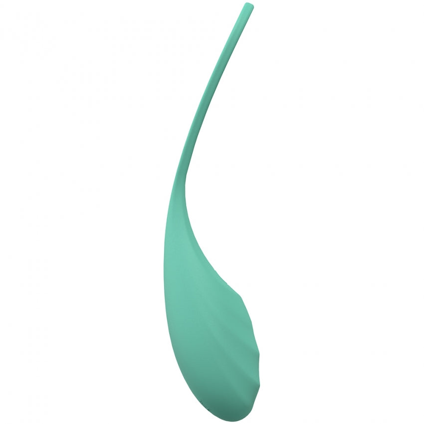 LoveLine - Passion - 10 Speed Remote Control Egg - Sealed Silicone - Rechargeable - Submersible - Green