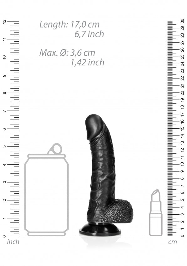Curved Realistic Dildo with Balls and Suction Cup - 6''/ 15.5 cm