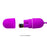 Vibrating Egg "Arvin" Purple