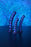 Beaded G-Spot Dildo - 5'' / 13 cm - Metallic Blue