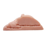 Vagina And Anal Masturbator Flesh (360mm x 340mm x 150mm)