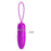 Purple Desire Collection - 5 Toys & Attachments