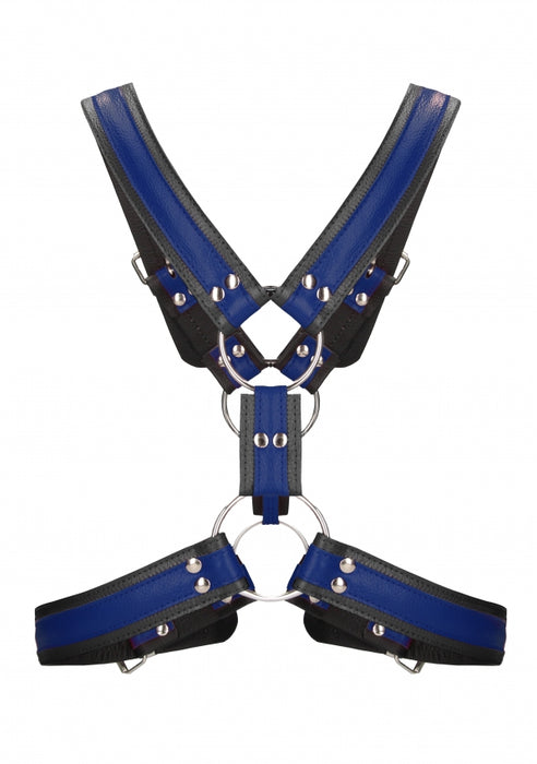 Scottish Harness - LXL - Blue